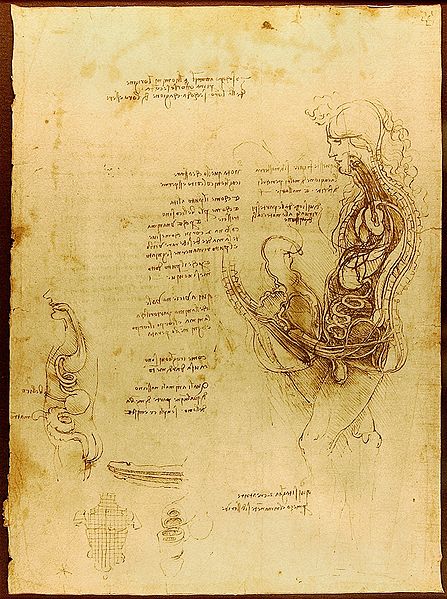 Coupe verticale du coït d'un homme et d'une femme, par Léonard de Vinci.